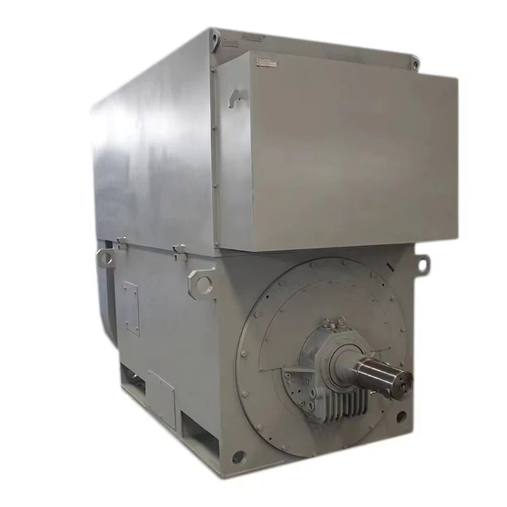 2240kW HV AC Shunt Motor factory